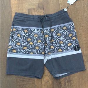 Sun Dazer 18.5” Boardshorts